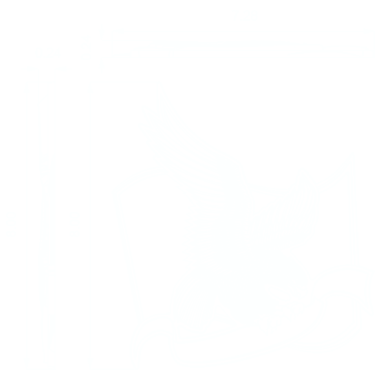 Eagle Blueprint