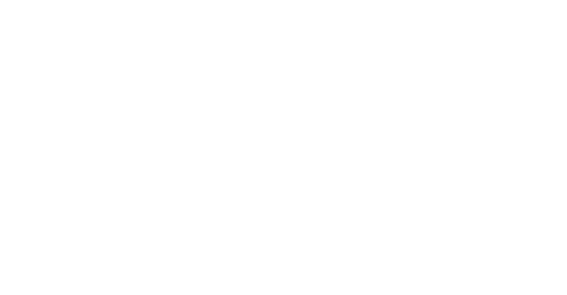 Diamond Vogel | Fluent Conveyors