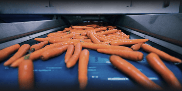 Food industry
