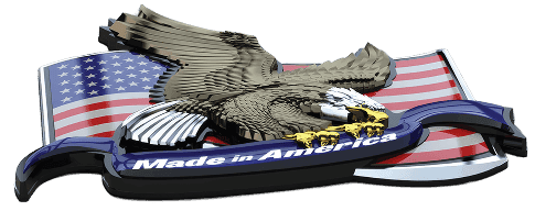 Eagle Perspective