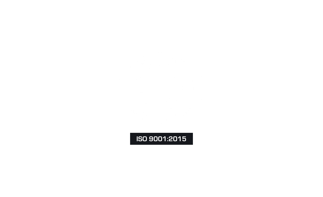 Which ISO 9001 edition to cite